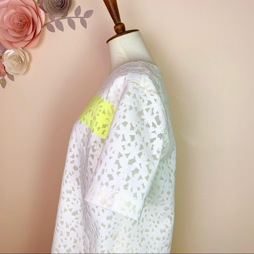 New! ELIZABETH & JAMES Chelle Flocked Shift Dress - Picture 10 of 12